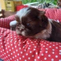 Foto 47