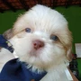 Foto 41