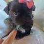 Foto 33