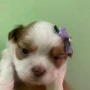 Foto 31